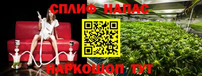 тгк Ставрополь