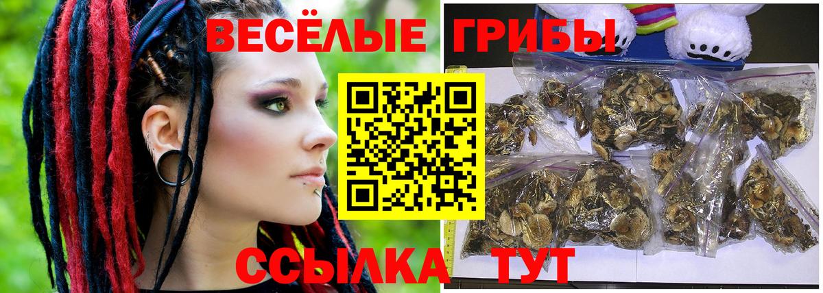 Нововоронеж  Псилоцибиновые грибы Cubensis  дарнет шоп  Вход с VPN 