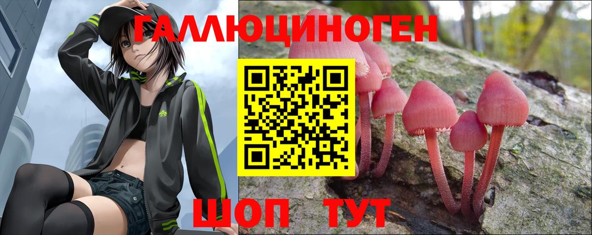 Псилоцибиновые грибы Psilocybine cubensis Нововоронеж